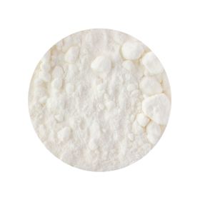 Latte di Cocco in Polvere Biologico
