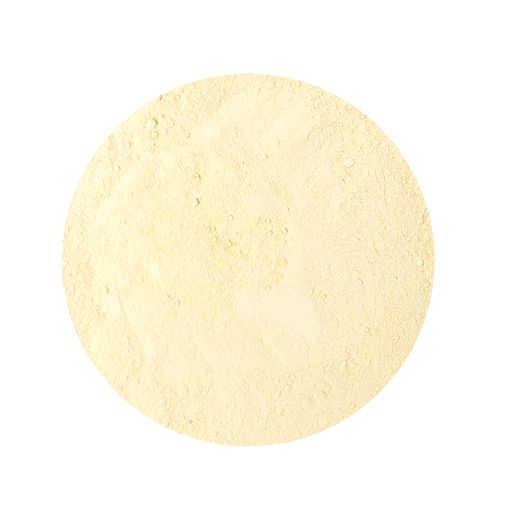 Polvere di Fungo di Neve Tremella fuciformis Biologico