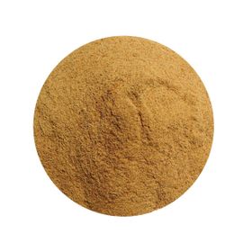 Zucchero di Fiore di Cocco Biologico