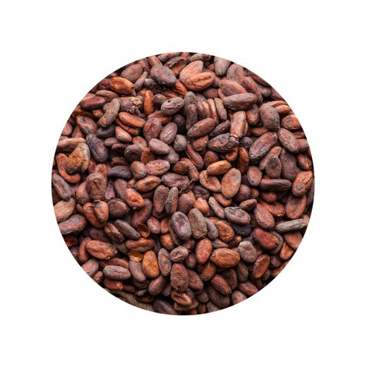 Fagioli di cacao Raw Biologici immagine principale