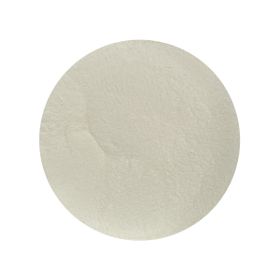 Polvere di Proteina Whey (80%) Biologica