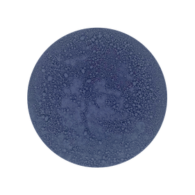 Butterfly Pea Flower in Polvere Biologico