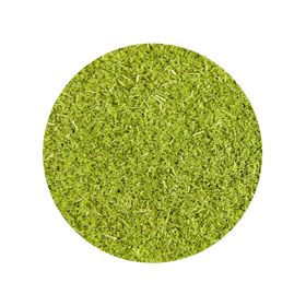 Erba d'orzo (Nuova Zelanda) Biologica